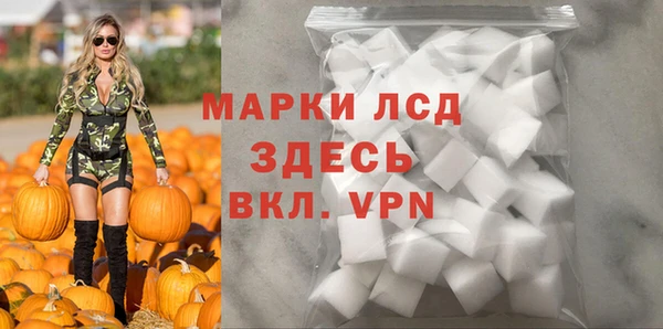 a pvp Алзамай