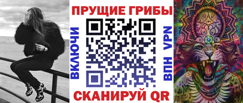 Псилоцибиновые грибы Psilocybine cubensis  цена   Благодарный 