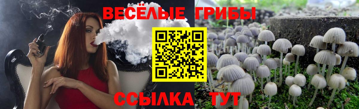 Псилоцибиновые грибы MAGIC MUSHROOMS Благодарный